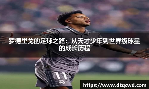 星空综合体育官网